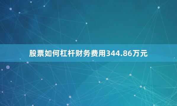 股票如何杠杆财务费用344.86万元
