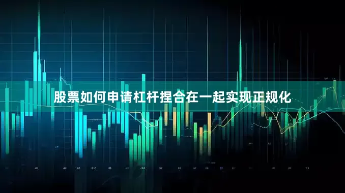 股票如何申请杠杆捏合在一起实现正规化