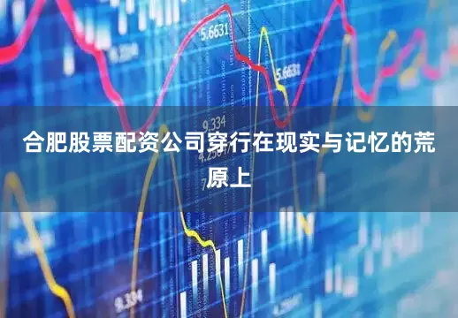 合肥股票配资公司穿行在现实与记忆的荒原上