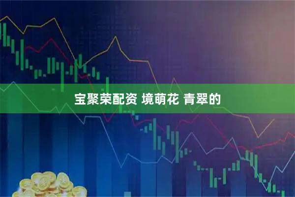 宝聚荣配资 境萌花 青翠的